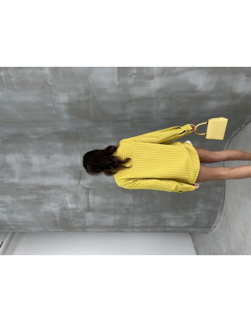 860 - Çizgili Gömlek