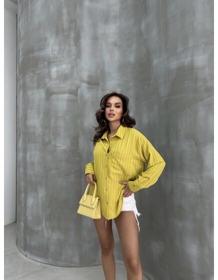 860 - Çizgili Gömlek